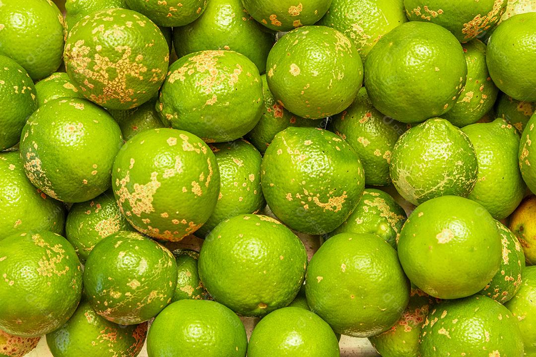 medica, às vezes chamado de limão cravo Imagem JPG