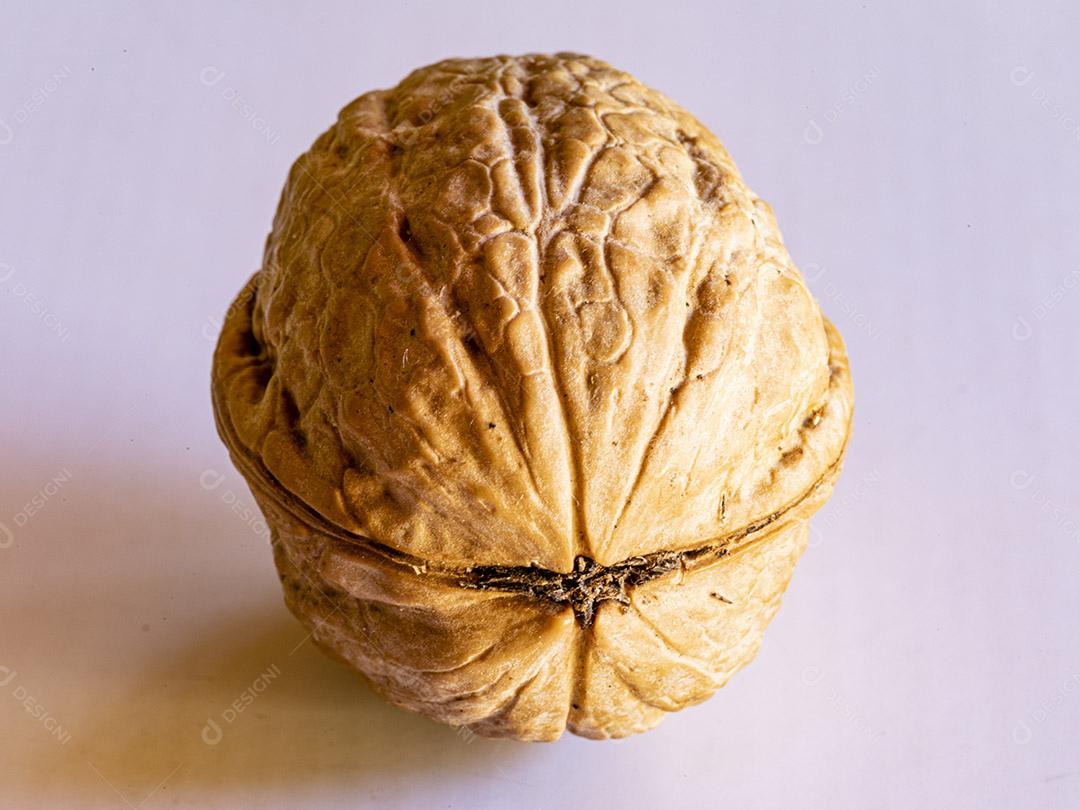isolado em fundo branco fechado noz fotos imagem