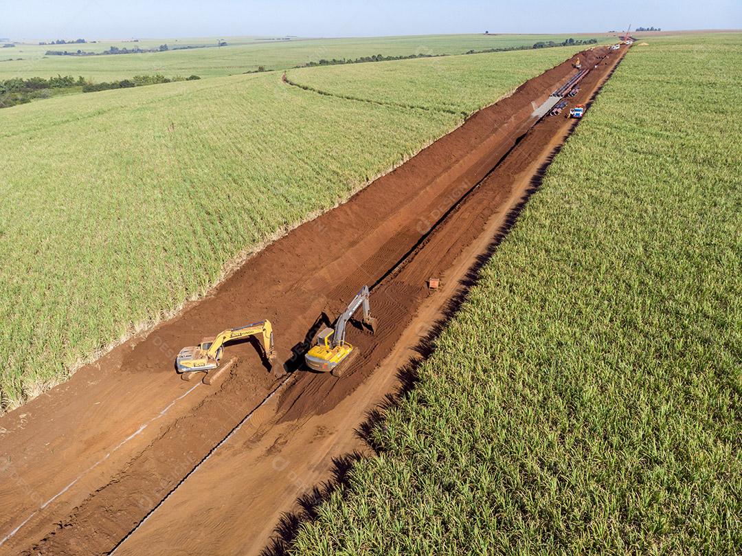 Colheita plantaçao agropecuaria Imagem JPG
