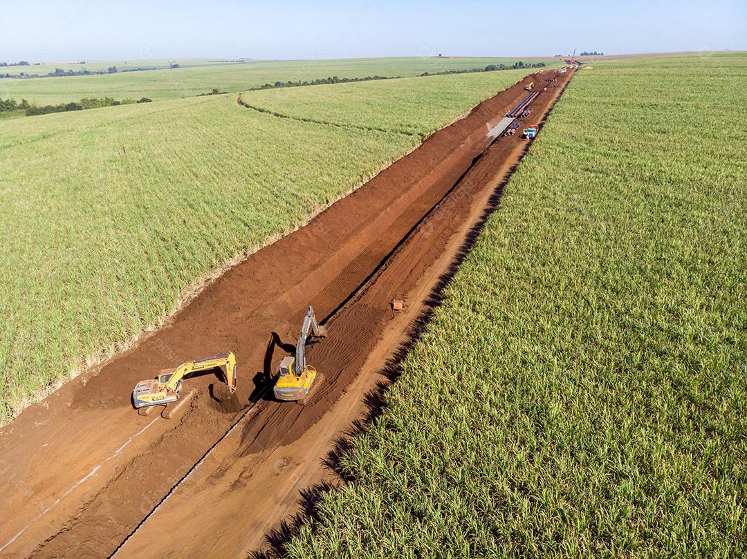 Colheita plantaçao agropecuaria Imagem JPG