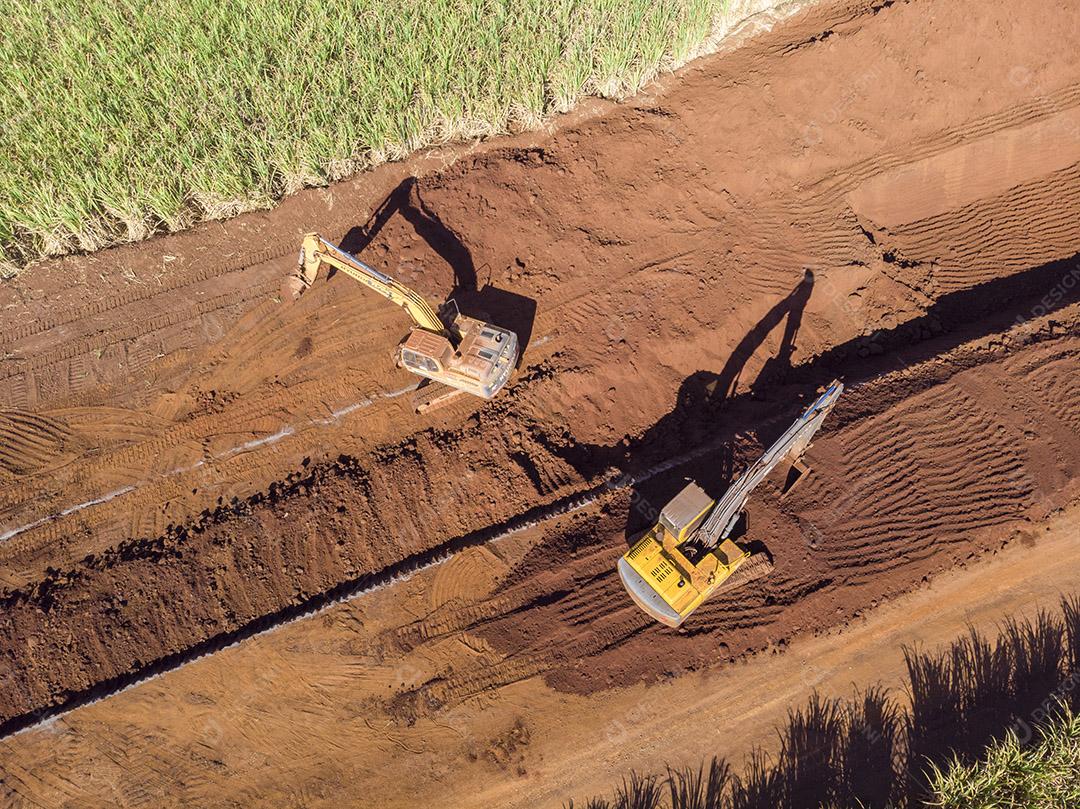 Colheita plantaçao agropecuaria Imagem JPG