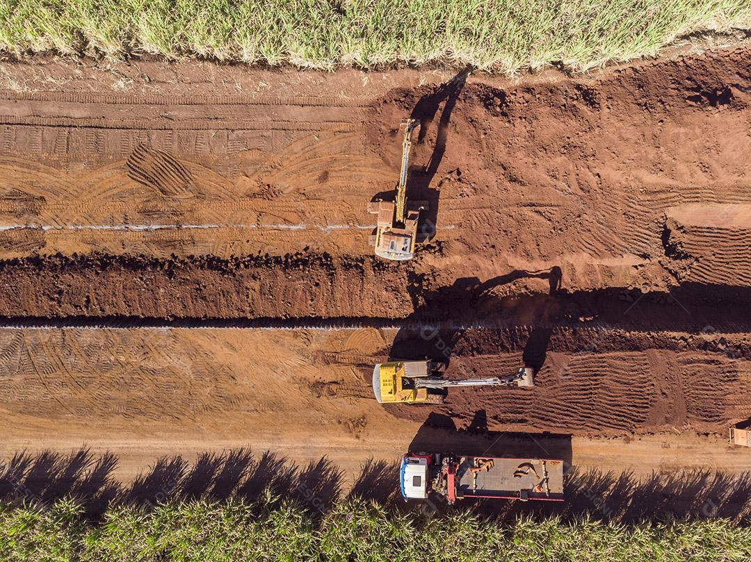 Colheita plantaçao agropecuaria Imagem JPG