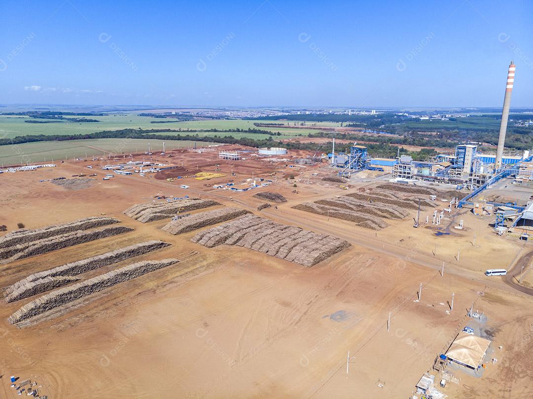 Troncos de eucalipto em uma fábrica de celulose solúvel e celulose especial Imagem JPG