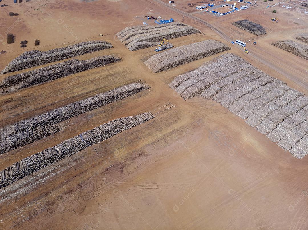 Troncos de eucalipto em uma fábrica de celulose solúvel e celulose especial Imagem JPG