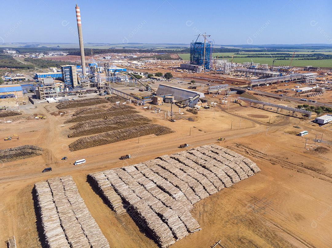 Troncos de eucalipto em uma fábrica de celulose solúvel e celulose especial Imagem JPG