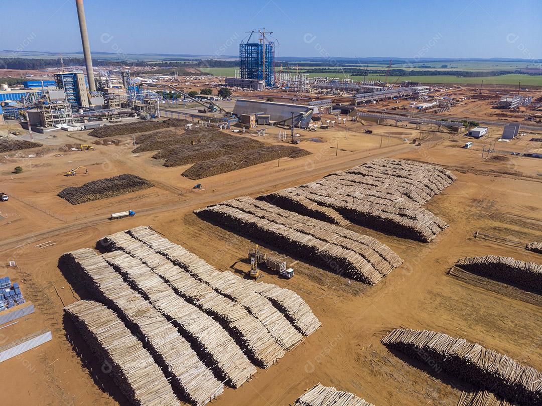 Troncos de eucalipto em uma fábrica de celulose solúvel e celulose especial Imagem JPG