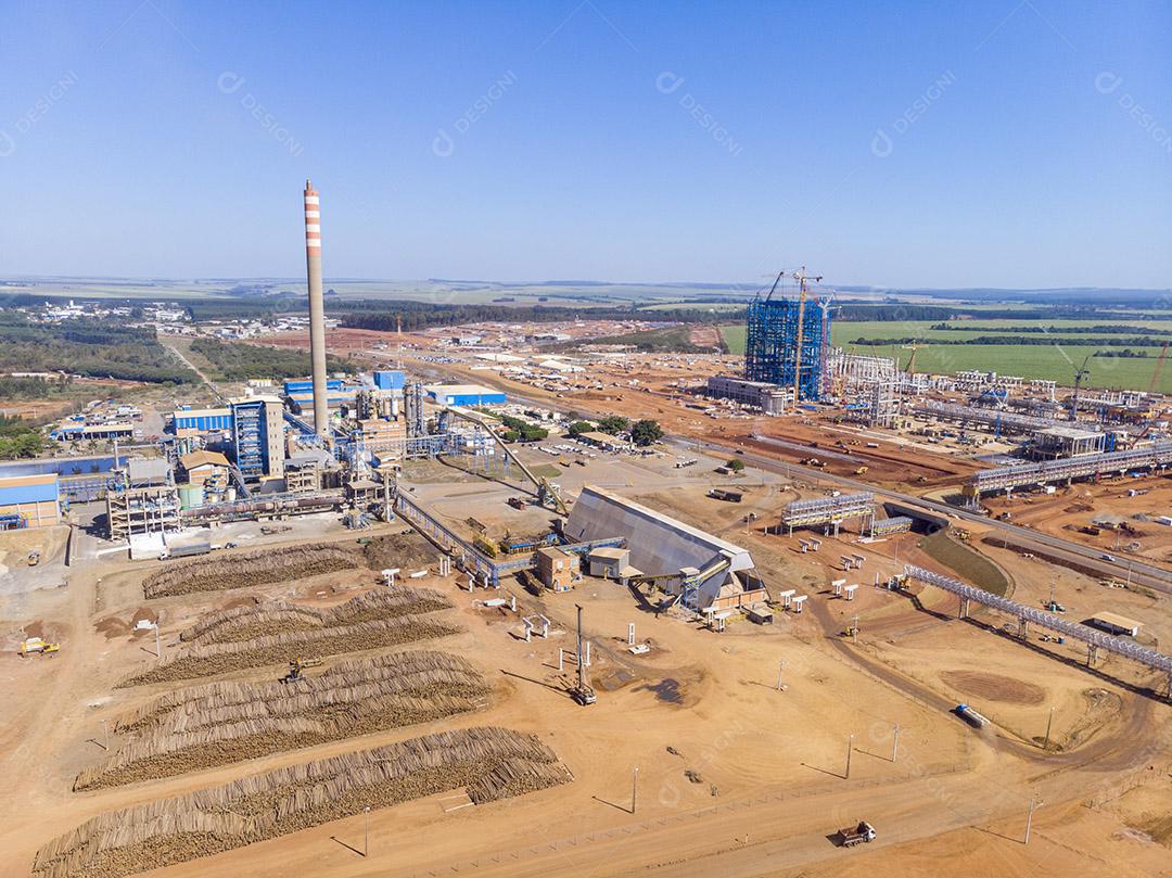 Troncos de eucalipto em uma fábrica de celulose solúvel e celulose especial Imagem JPG