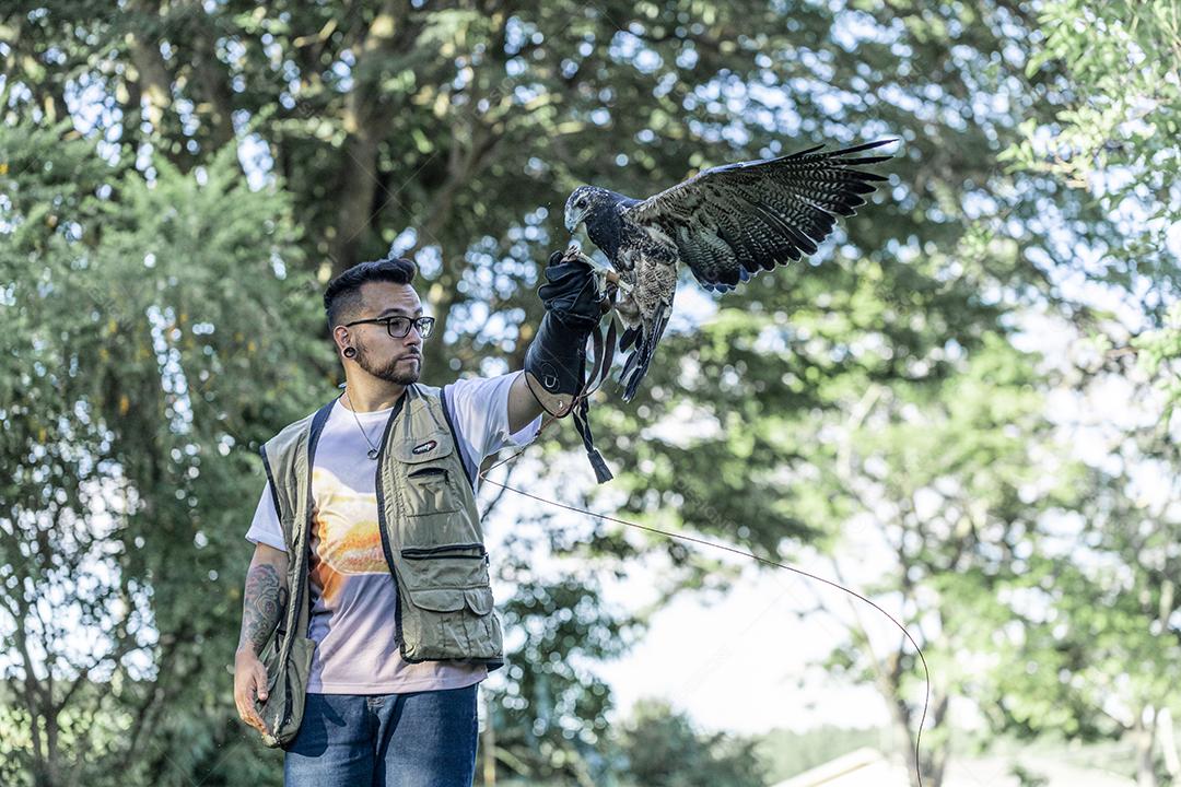 Homem treinando falcão Parabuteo unicinctus Imagem JPG