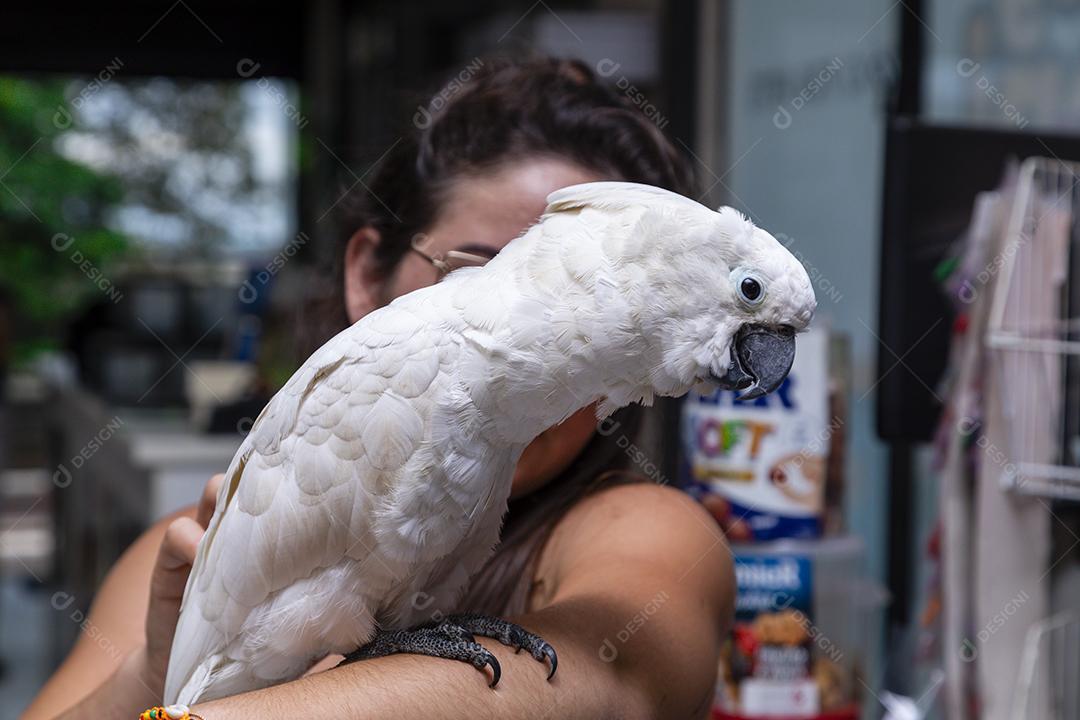 Cacatua alba no braço de uma mulher Imagem JPG