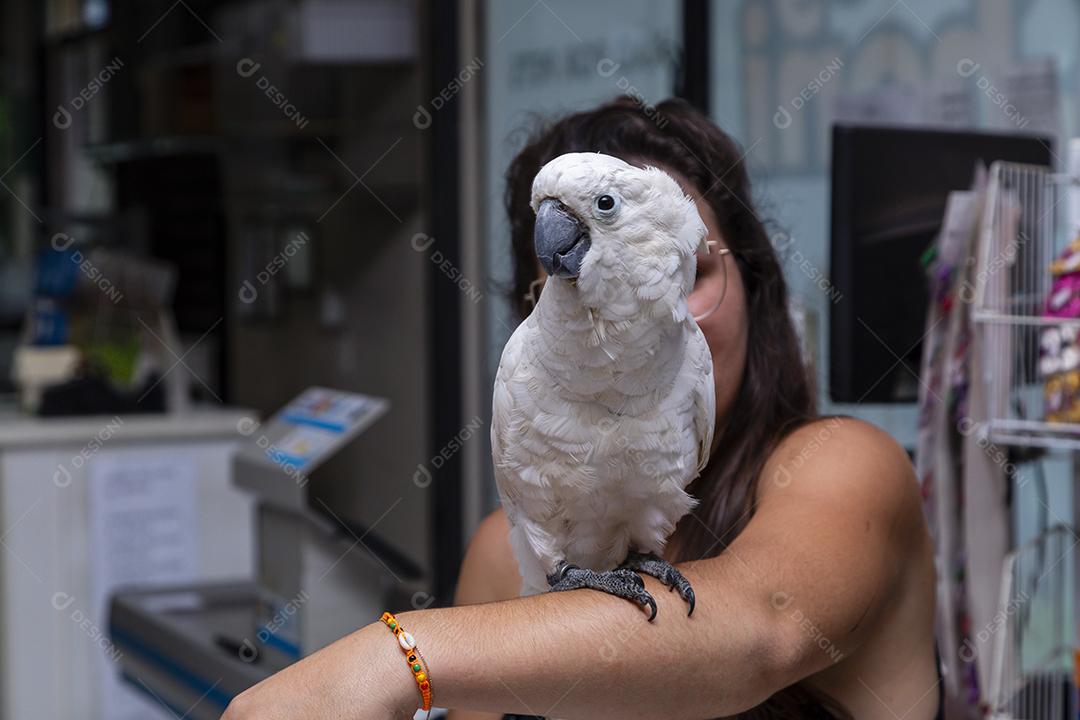 Cacatua alba no braço de uma mulher Imagem JPG