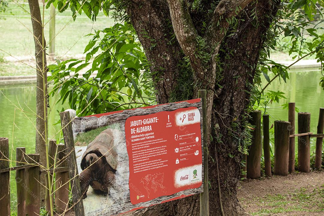 Placa de zoologico de tartaruga Imagem JPG