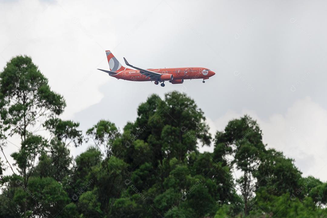 Aviao voando perto de arvores floresta Imagem JPG