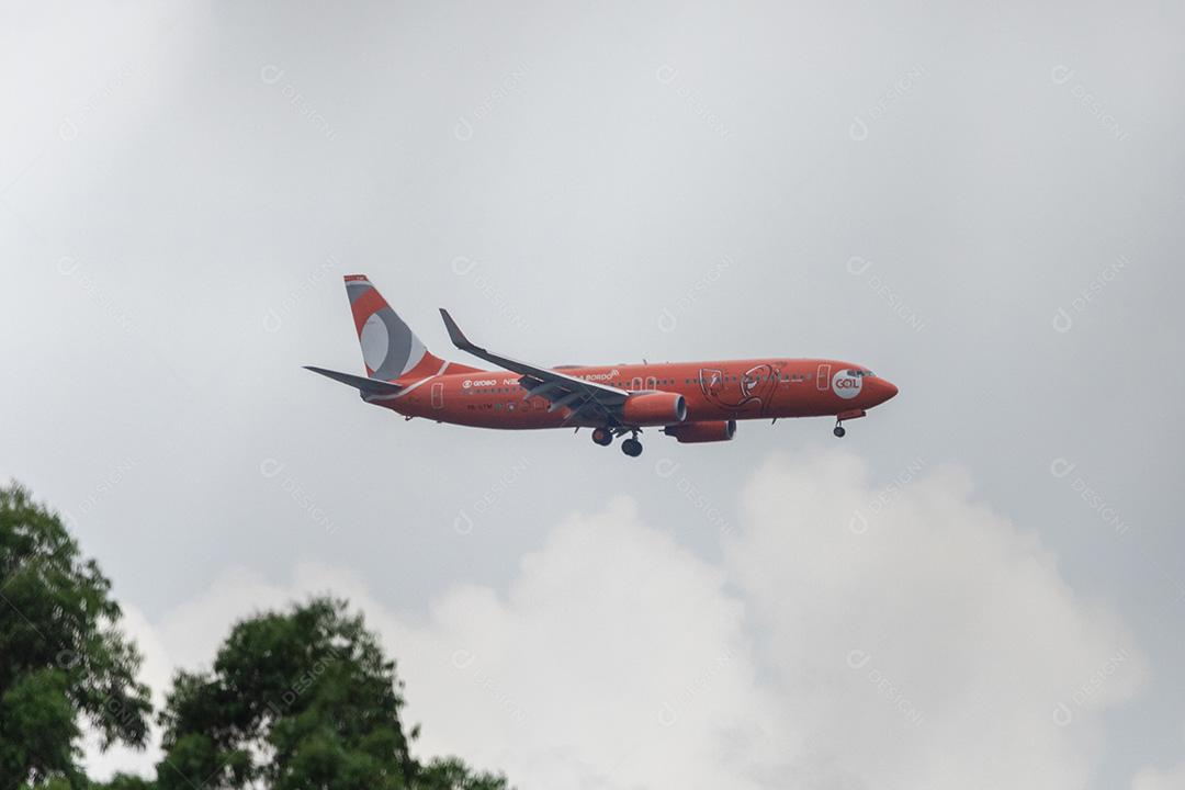 Aviao voando perto de arvores floresta Imagem JPG