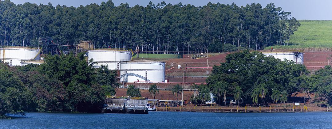 Cana de açucar rio tiete Imagem JPG