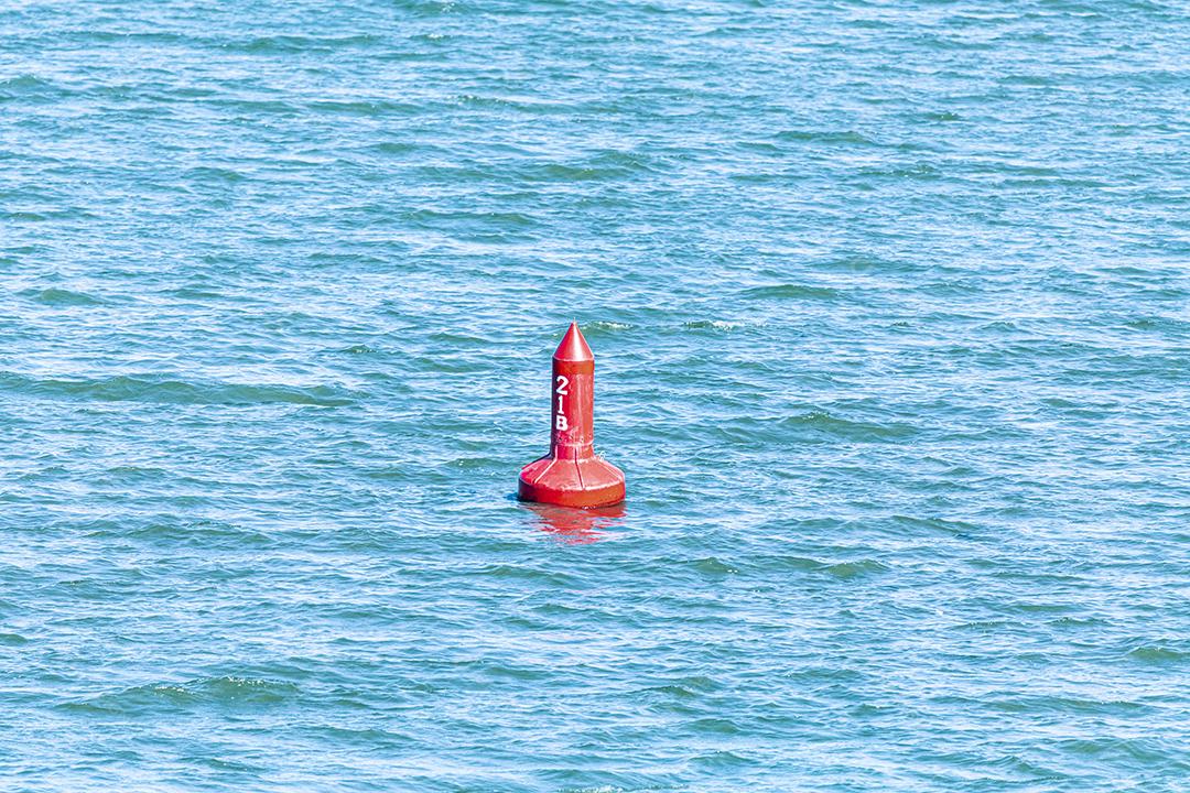 Cana de açucar rio tiete Imagem JPG