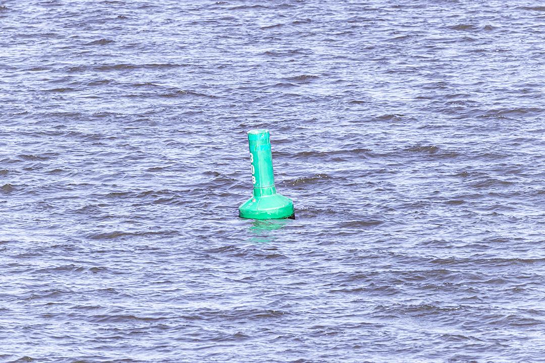 Cana de açucar rio tiete Imagem JPG