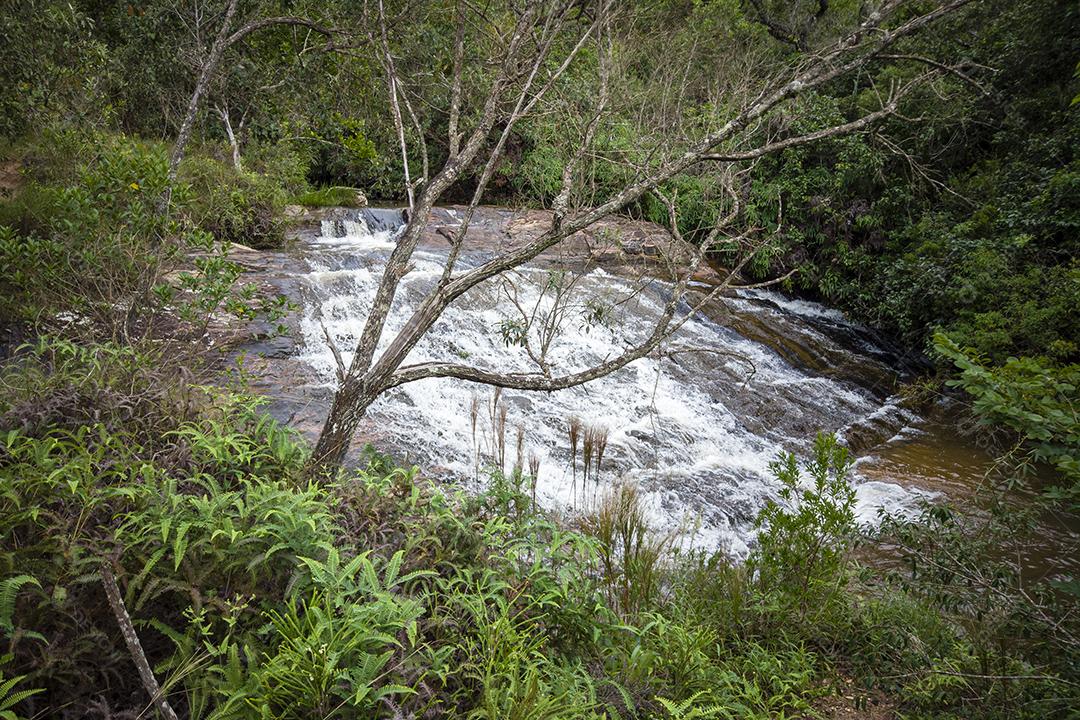 Paisagem Cachoeira lago floresta Imagem JPG