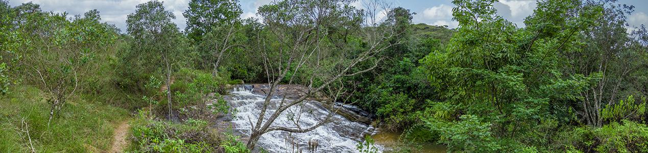 Paisagem Cachoeira lago floresta Imagem JPG