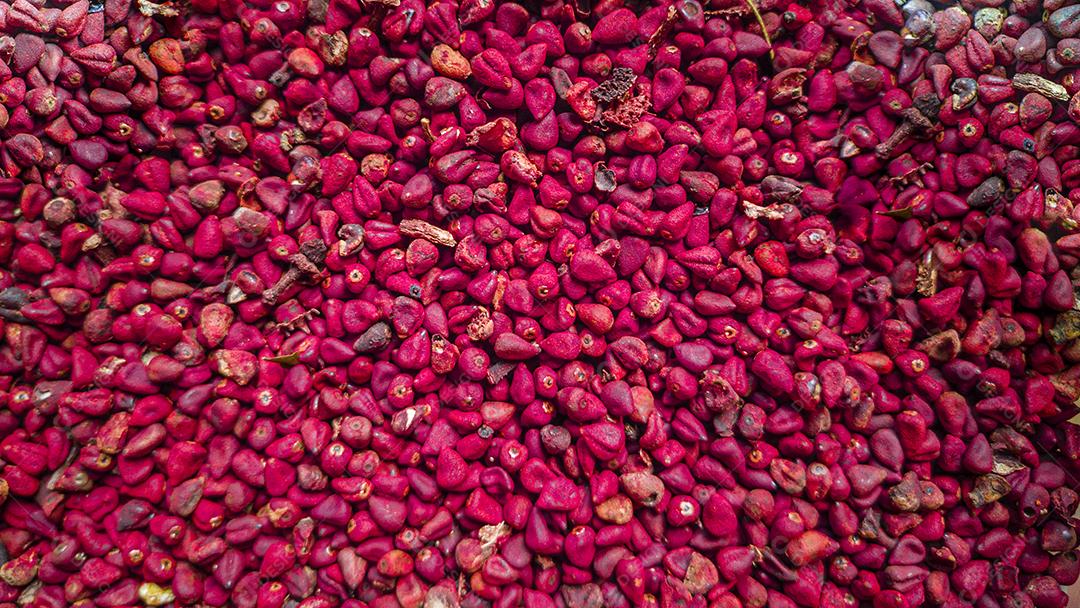 Grãos de urucum Imagem JPG