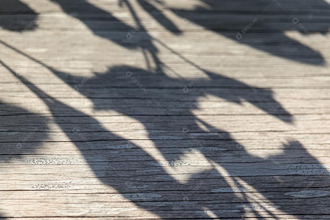 Sombra de plantas sobre um piso de madeira