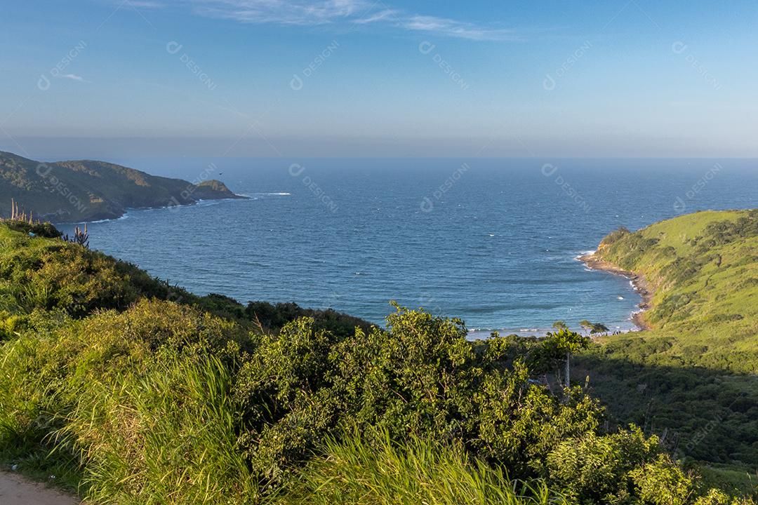 Penhasco plantas matos praia paisagem