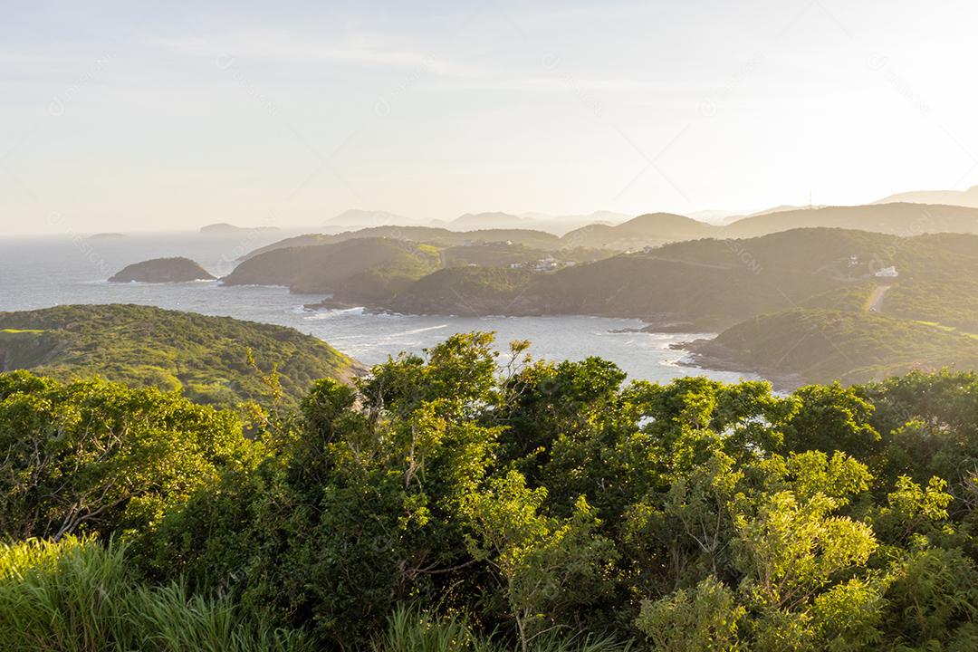 Penhasco plantas matos praia paisagem