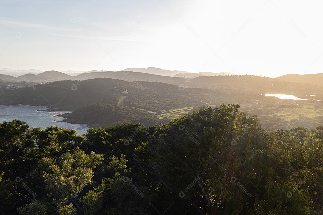 Penhasco plantas matos praia paisagem
