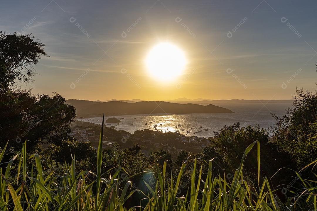 Penhasco plantas matos praia paisagem
