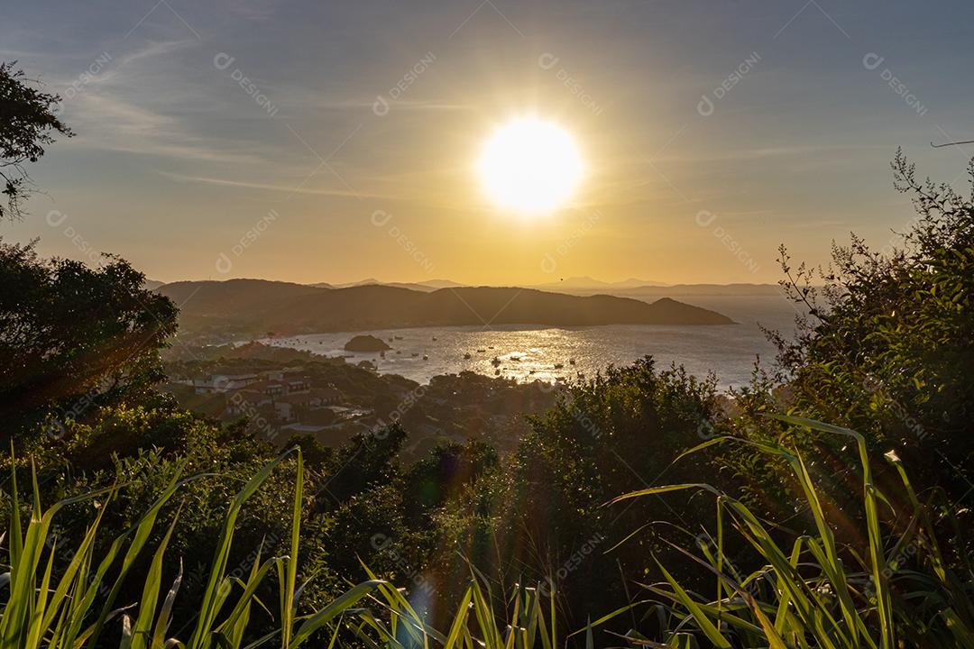 Penhasco plantas matos praia paisagem