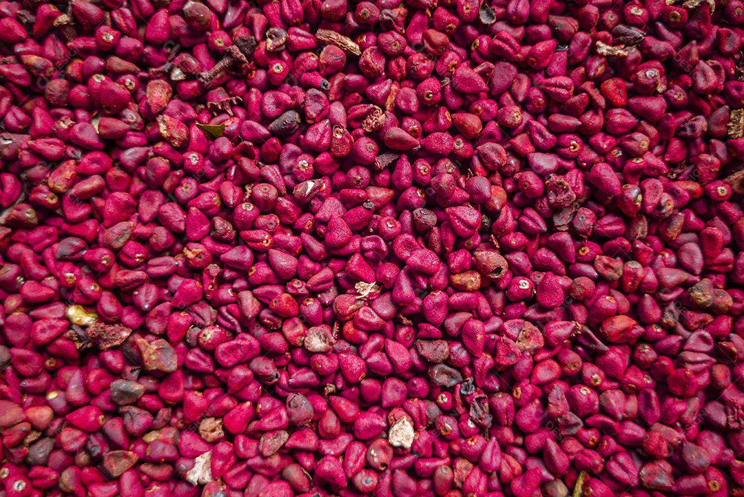 Grãos de urucum, fundo Urucum, textura Imagem JPG