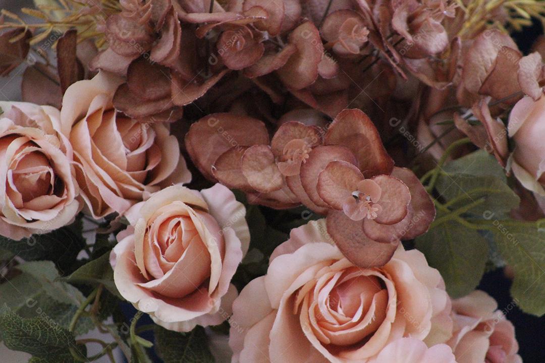 Jardim de Flores rosas.