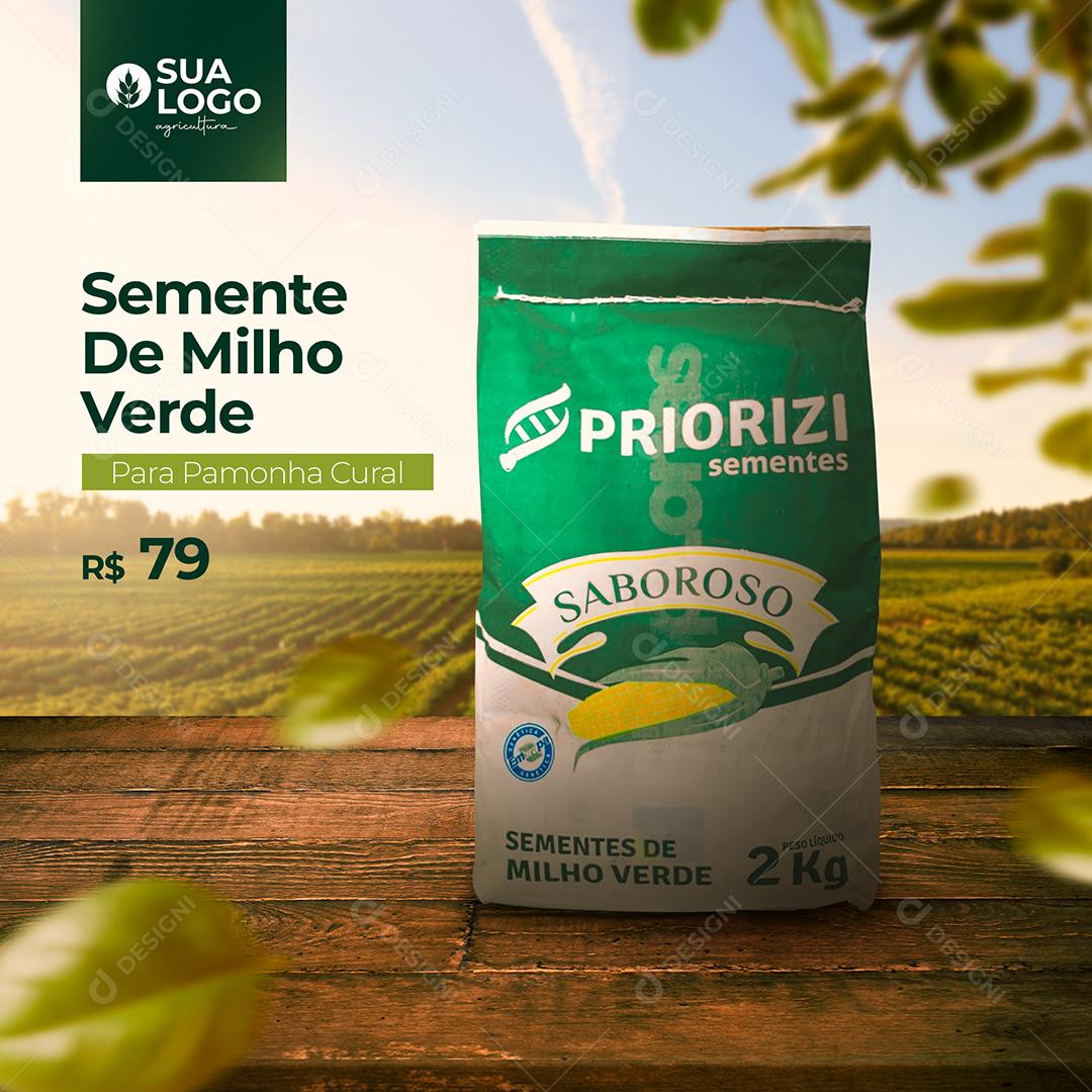 Post Semente de Milho Verde para Pamonha Social Media PSD Editável