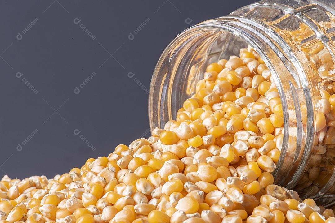 Grãos de milho cru (Sementes de Pipoca) JPG