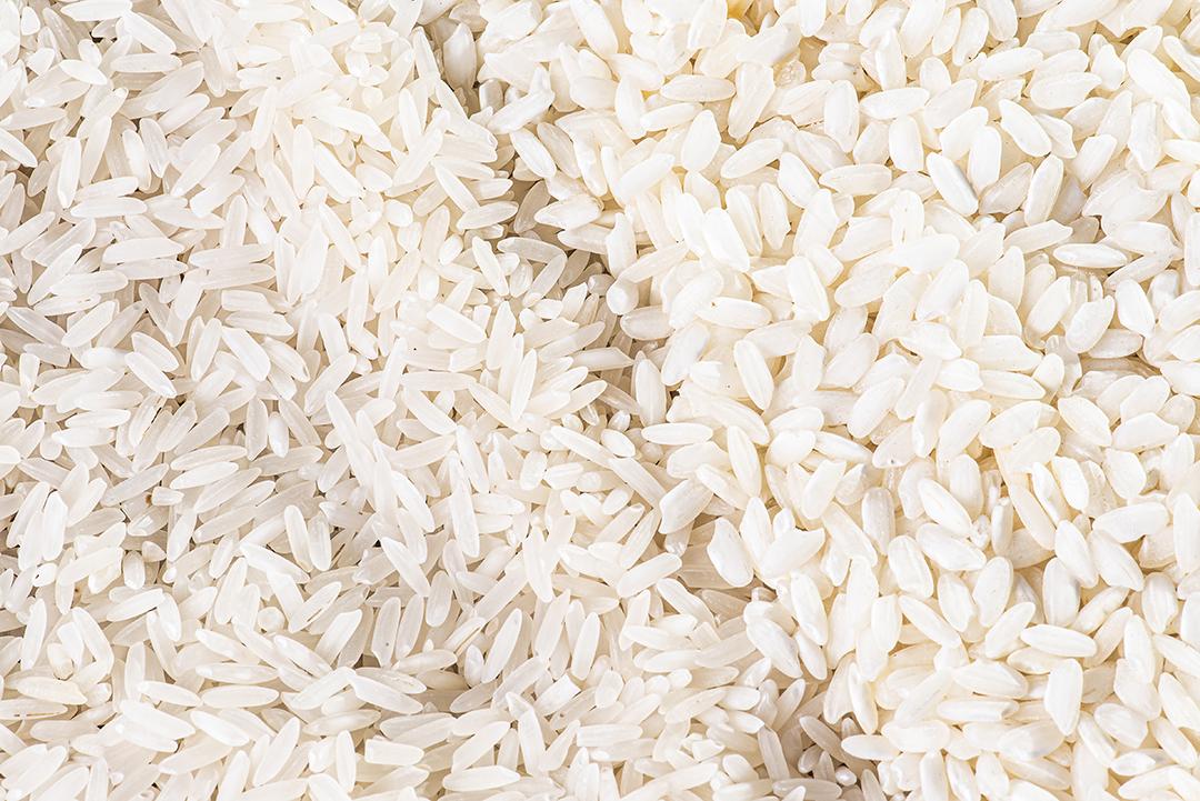 Dois tipos de grãos de arroz vistos de cima do arroz Arboreo, basmati JPG