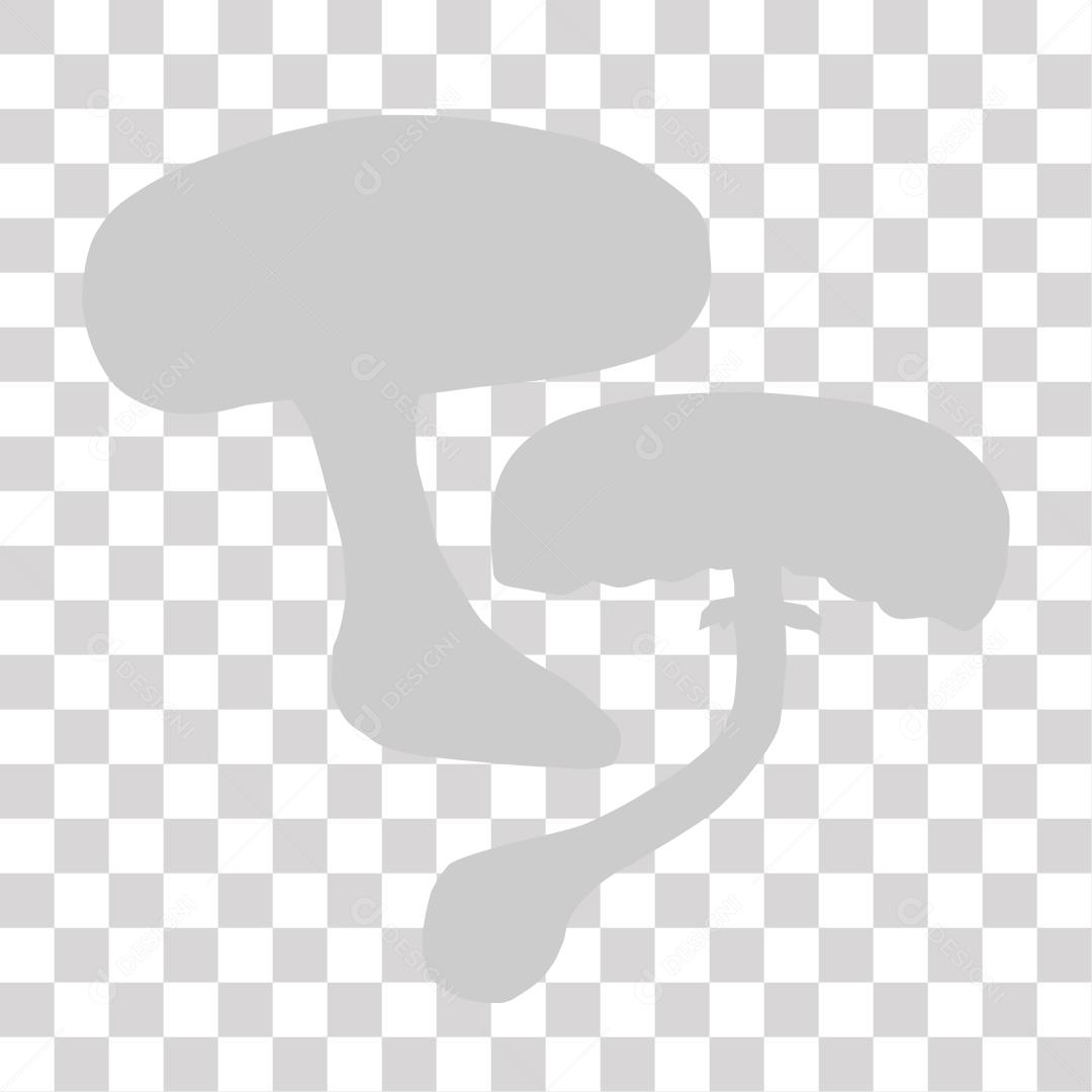 Cogumelos ilustração base PNG Transparente