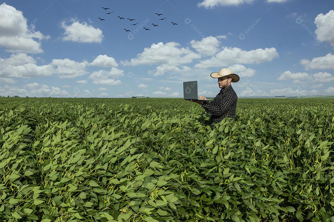 Jovem agricultor de chapéu segurando soja no campo de soja Imagem JPG
