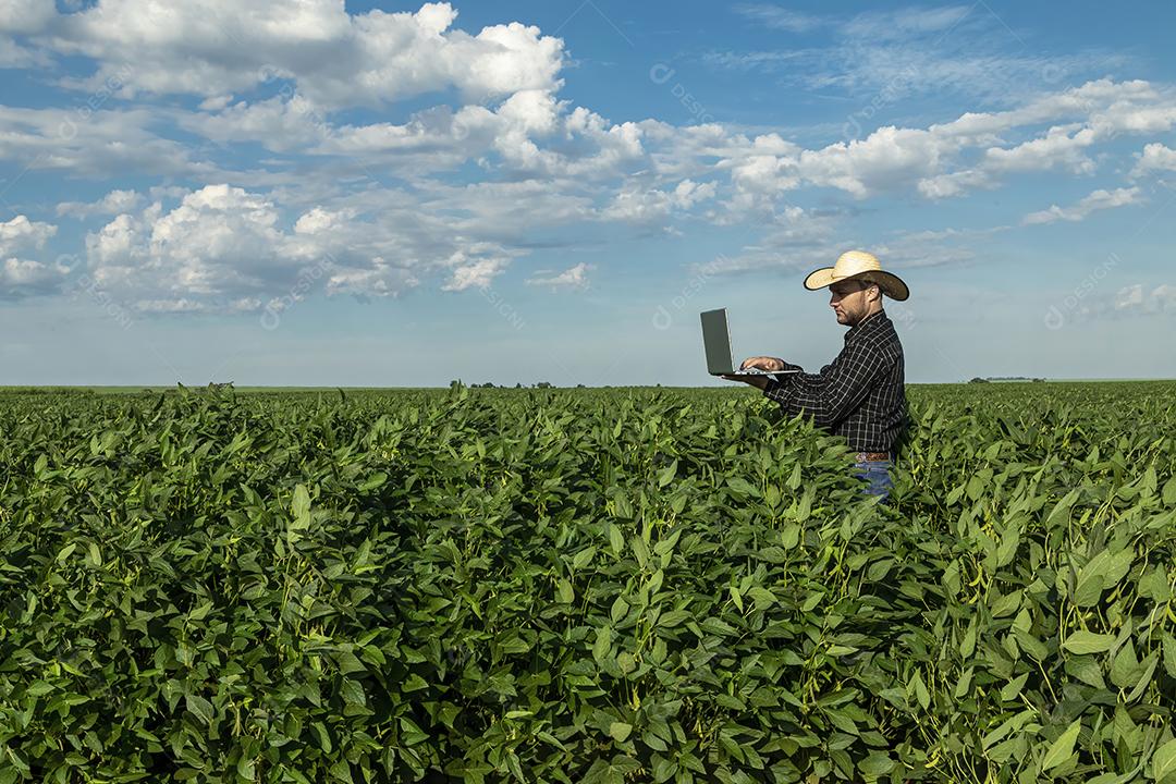 Jovem agrônomo de chapéu segurando o notebook no campo de soja Imagem JPG