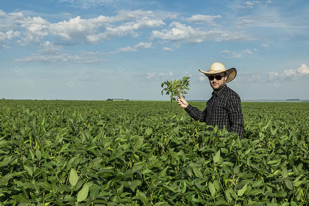 Jovem agricultor de chapéu segurando soja no campo de soja Imagem JPG