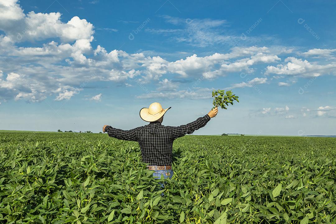 Jovem agricultor de chapéu segurando soja no campo de soja Imagem JPG