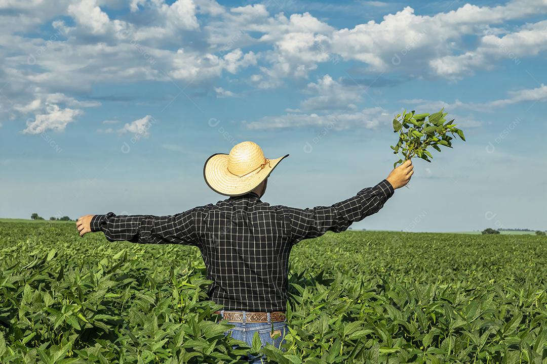 Jovem agricultor de chapéu segurando soja no campo de soja Imagem JPG