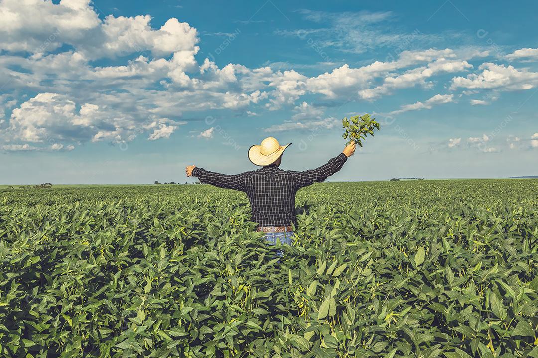 Jovem agricultor de chapéu segurando soja no campo de soja Imagem JPG