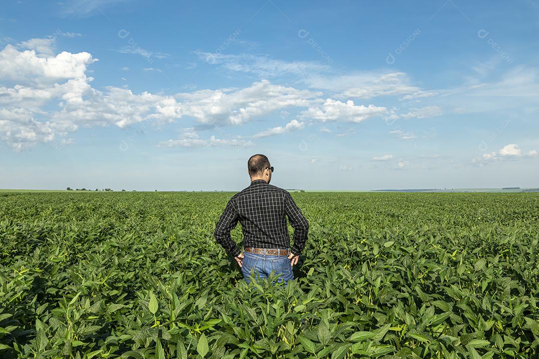 Jovem agricultor de chapéu segurando soja no campo de soja Imagem JPG