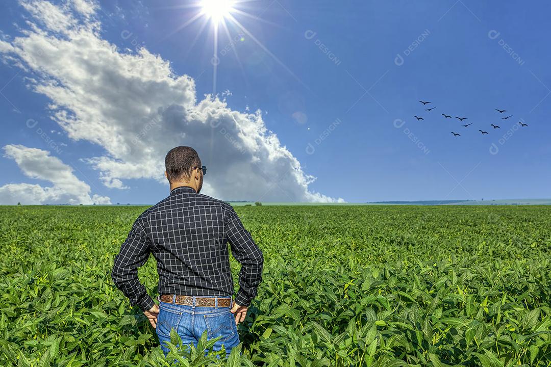 Jovem agricultor de chapéu segurando soja no campo de soja Imagem JPG