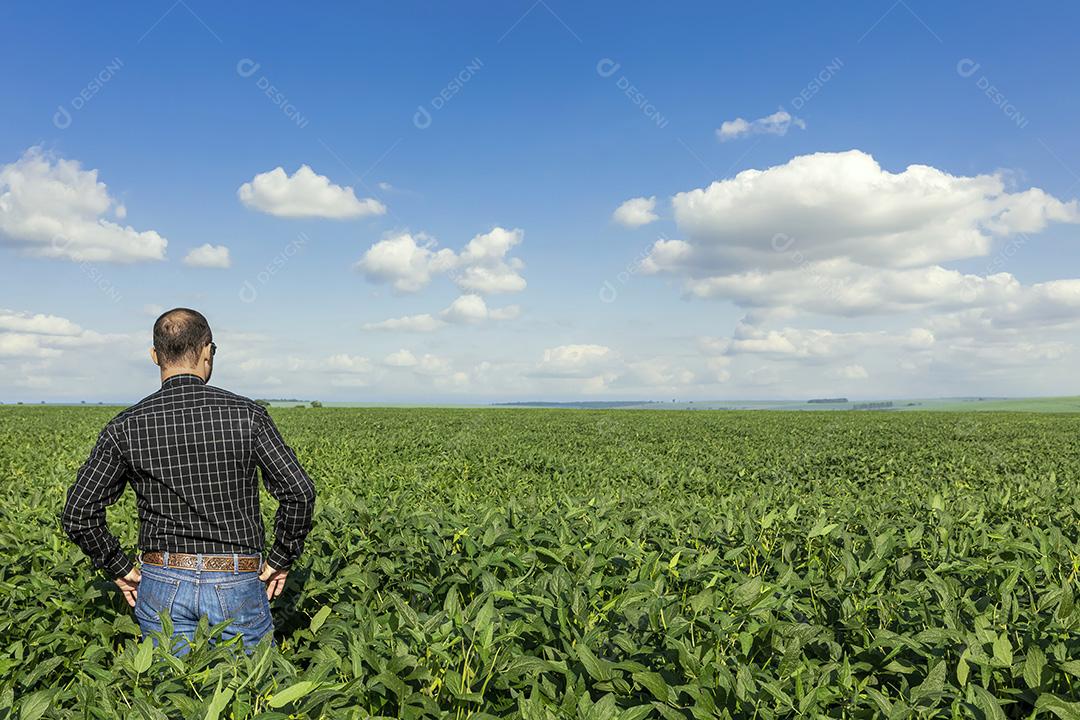 Jovem agricultor soja no campo de soja Imagem JPG