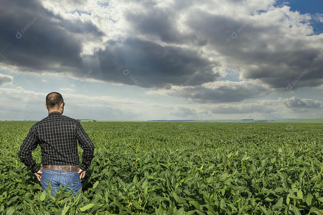 Jovem agricultor soja no campo de soja Imagem JPG