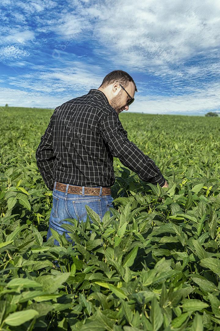 Jovem agricultor de chapéu segurando soja no campo de soja Imagem JPG