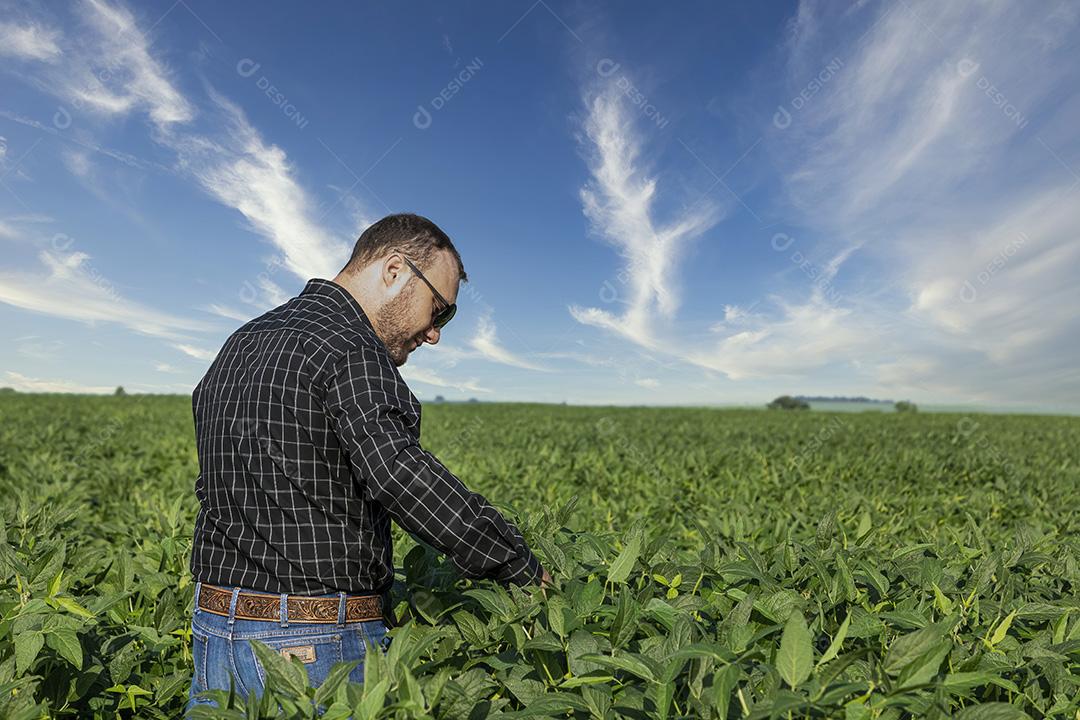 Jovem agricultor soja no campo de soja Imagem JPG