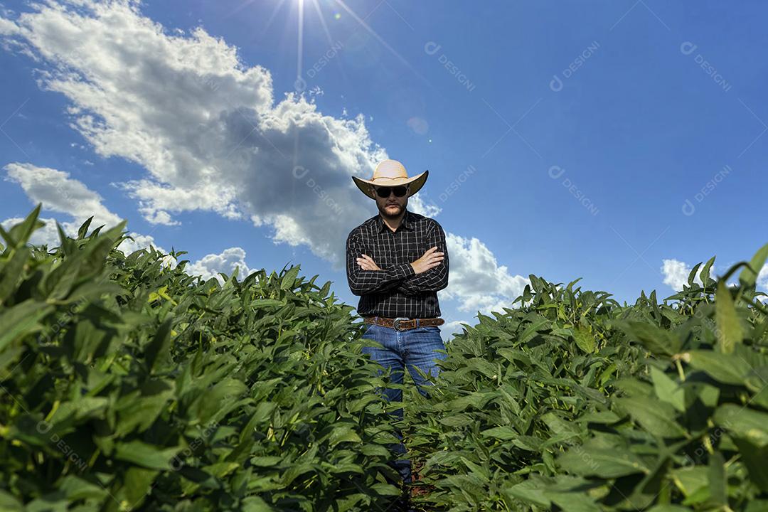 Jovem agricultor soja no campo de soja Imagem JPG
