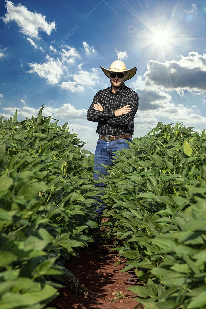 Jovem agricultor de chapéu segurando soja no campo de soja Imagem JPG
