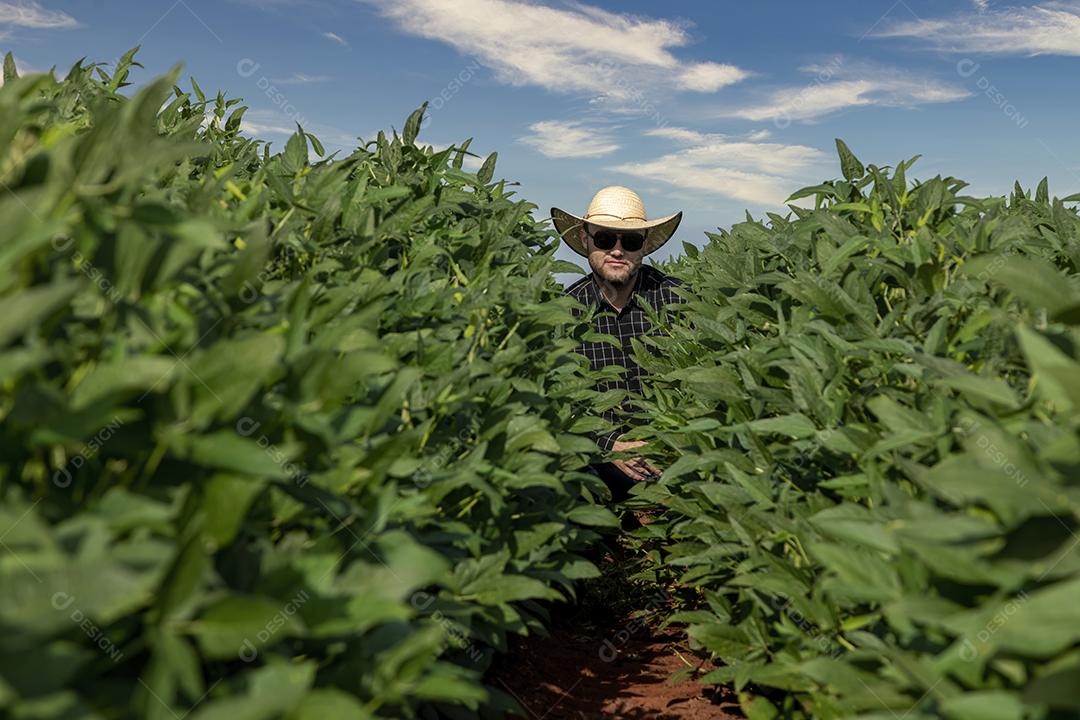 Jovem agricultor soja no campo de soja Imagem JPG